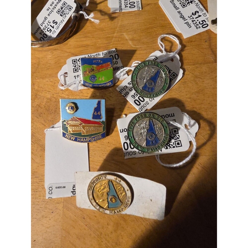 Vintage 70s New Hampshire Lions Club Pin Lot Covered Bridge Cog Railway Man Mtn